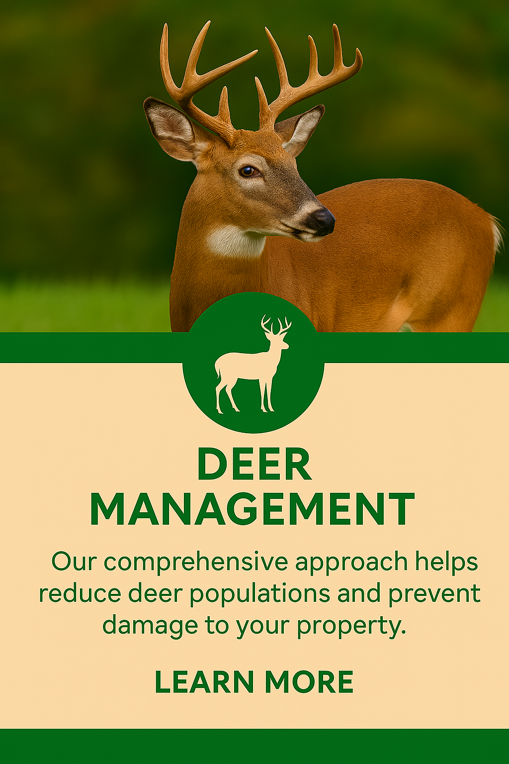 Deer Management