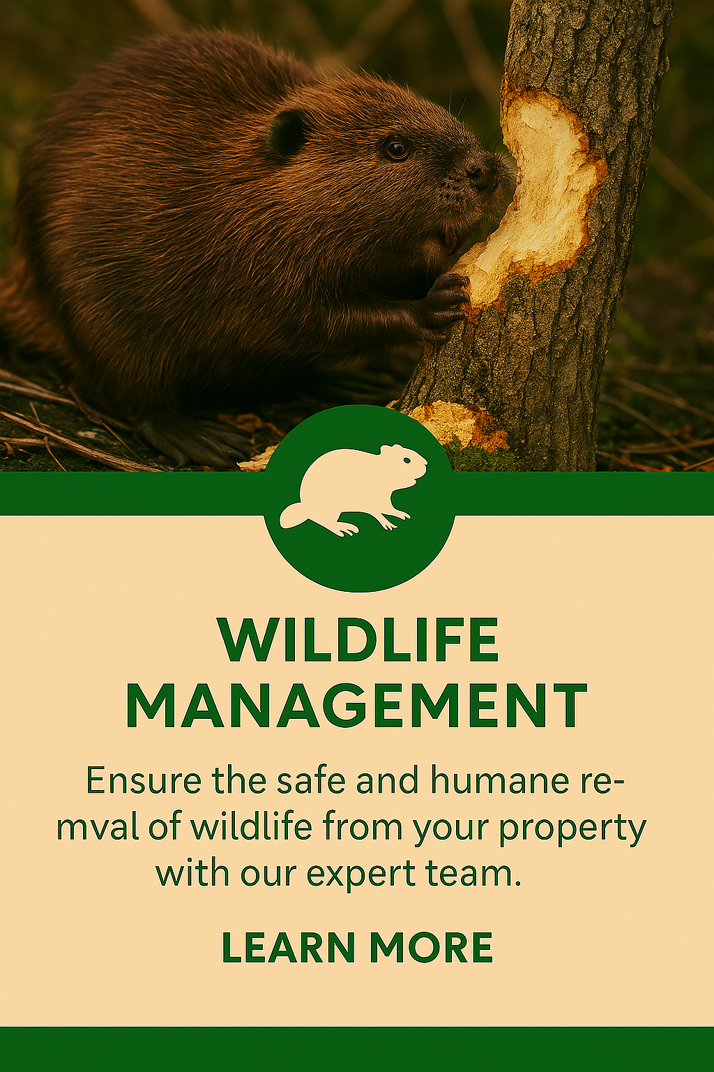Wildlife Management